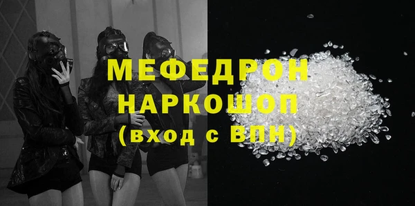 индика Осинники