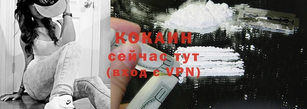 индика Осинники