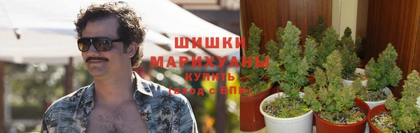 mdpv Осташков
