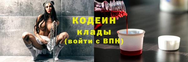индика Осинники