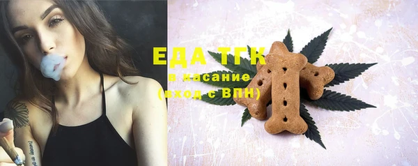 индика Осинники