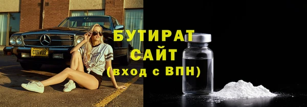индика Осинники