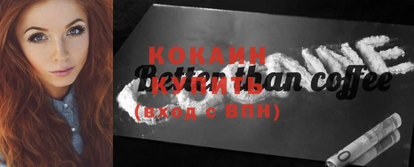 индика Осинники