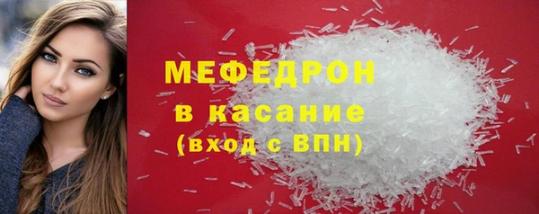 индика Осинники