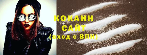 индика Осинники