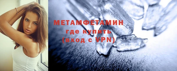 индика Осинники