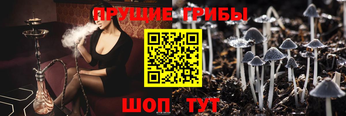 Галлюциногенные грибы прущие грибы Сорочинск